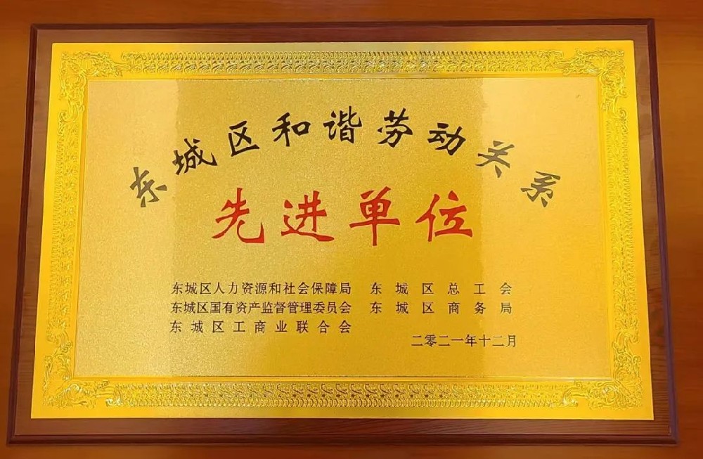 大龍集團(tuán)榮獲“東城區(qū)和諧勞動關(guān)系先進(jìn)單位”光榮稱號